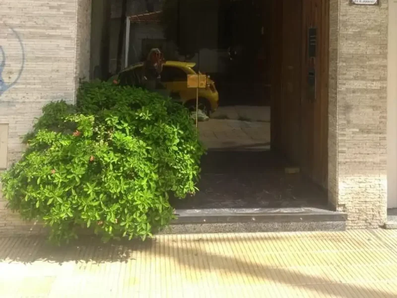 San Juan 4300, Piso 1